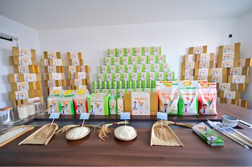 食安在沈北 幸福过大年