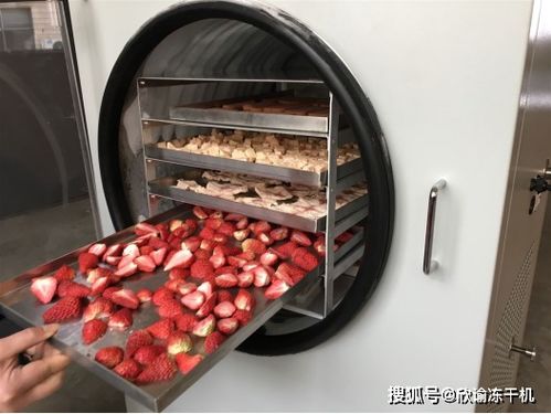 速食冻干食品还有营养价值么