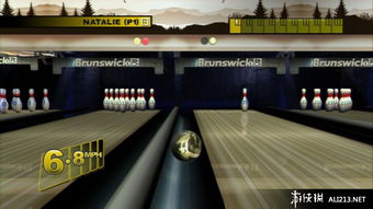 布伦瑞克职业保龄球 ps3截图图片 45 游侠图库