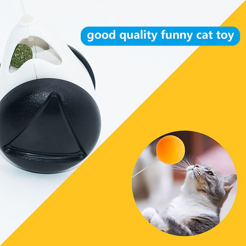 长沙亚马逊图片产品拍照宠物用品图片设计制作外贸电商