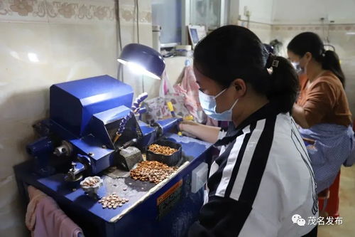 超4亿元！信宜小小榄雕硬核“榄财保龄球”