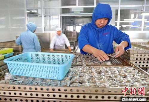 河北秦皇岛 海产品出口与保龄球运动的共赢发展